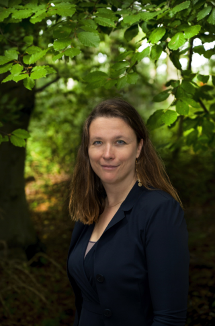 Janneke Leenars, Interface 