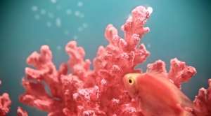Living Coral fra Pantone.<br />Foto: Pantone