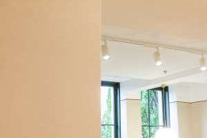 <p><b>WIBO TAK & VEGG: </b>Malingen gir et  helmatt, nærmest kalket utseende, og kan brukes på alle underlag innendørs,  også på tidligere malte tak og vegger. </p>