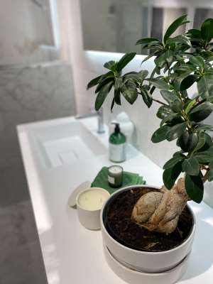 GRØNT: Grønne planter har blitt en naturlig del av inventaret i våre hjem, også på badet.<br />Foto: Norfloor