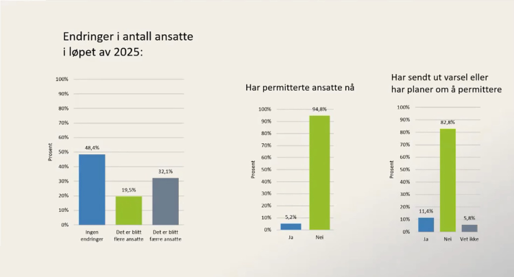diagram som viser bemanningssituasjonen