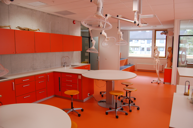 læringsmiljø og pedagogikk