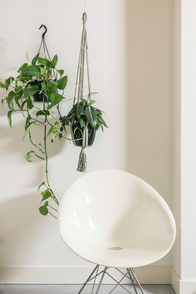 stol i hvitt interiør