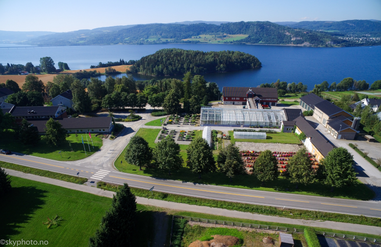 Fra parken på Norges Grønne fagskole Vea