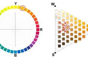 <p><b>RIKTIG FARGE:</b> NCS-systemet er et godt hjelpemiddel til å finne farge og ønsket nyanse. I dette eksemplet  viser fargesirkelen kulørtonen Y20R. Fargetriangel viser en rekke nyanser av Y20R. Pilene angir nyansene med lavere sorthet, hvithet og kulørthet.        <br></p>