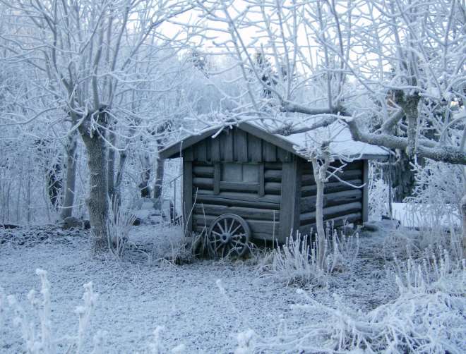 frostbitt hytte