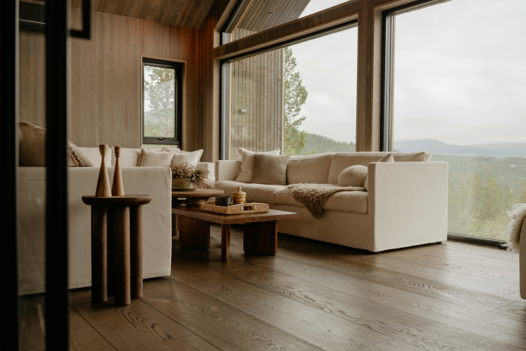 sofa vindu hytte tregulv lyst