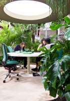 Foto: Chera Westman/ifi.no<br/>REDUSERER STRESS: Grønne planter og naturelementer kan skape et rolig interiør. 