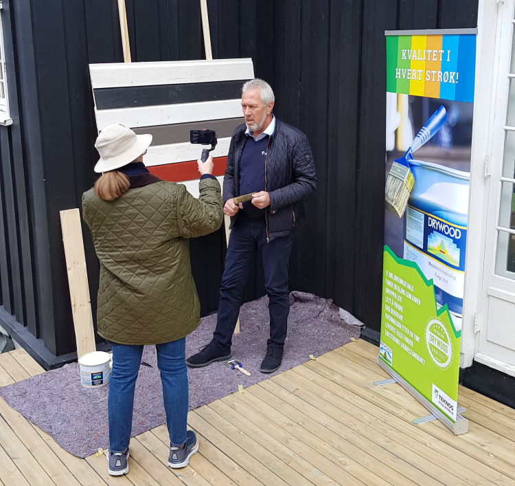 drywood maling teknos