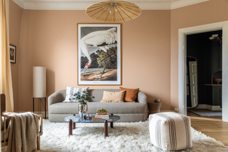 rosa rom interiør bord sofa