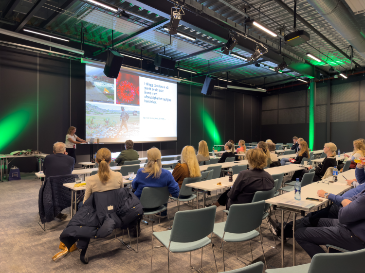 storskjerm foredrag folk