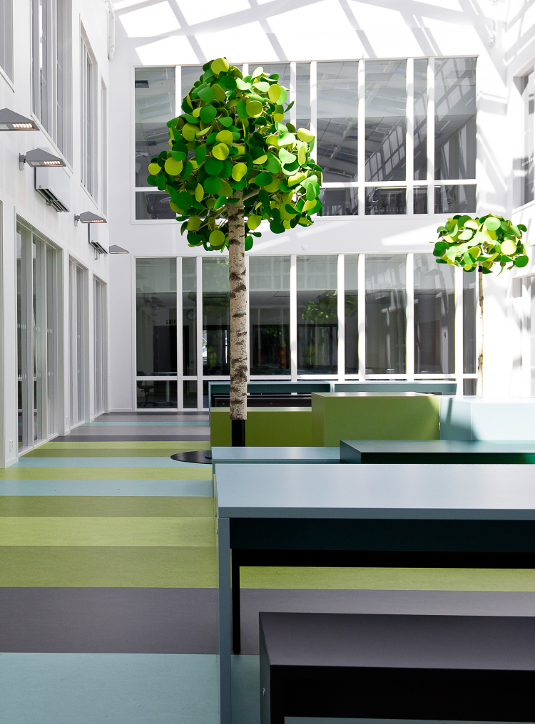 jessheim videregående skole linoleum