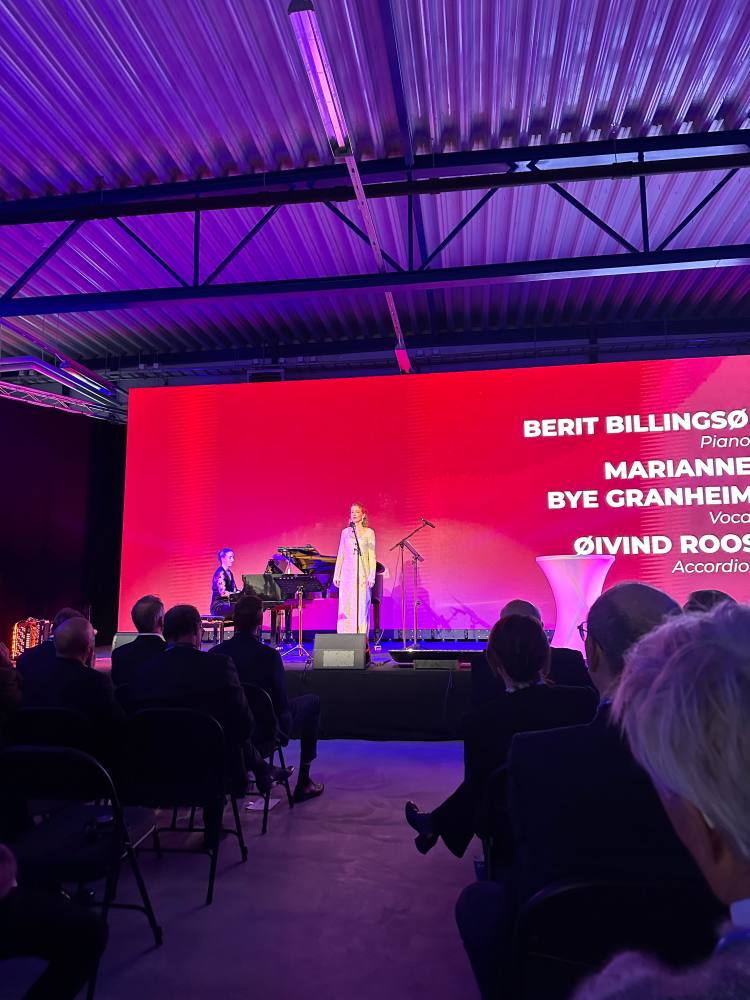 dame paljettkjole flygel