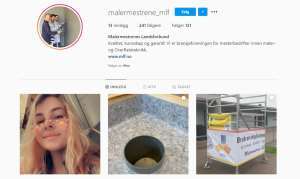 Instagramprofilen til MLF, malermestrene_mlf<br />Foto: Anna Leikanger Voje/ifi.no