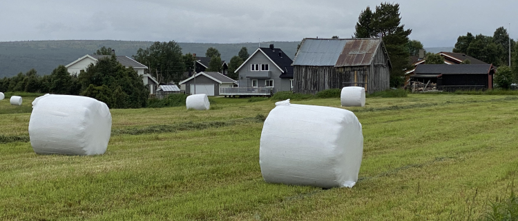 Rundballer på jordet