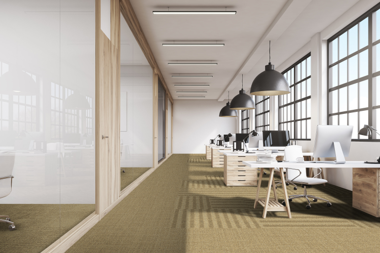 Designene Polder, Dune og Meadow fra Haze-kolleksjonen