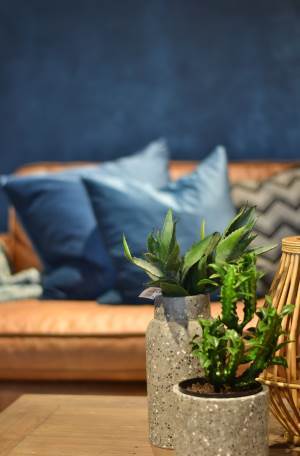 Den cognac-fargede sofaen står flott til den blå veggfargen.<br />Foto: Flügger