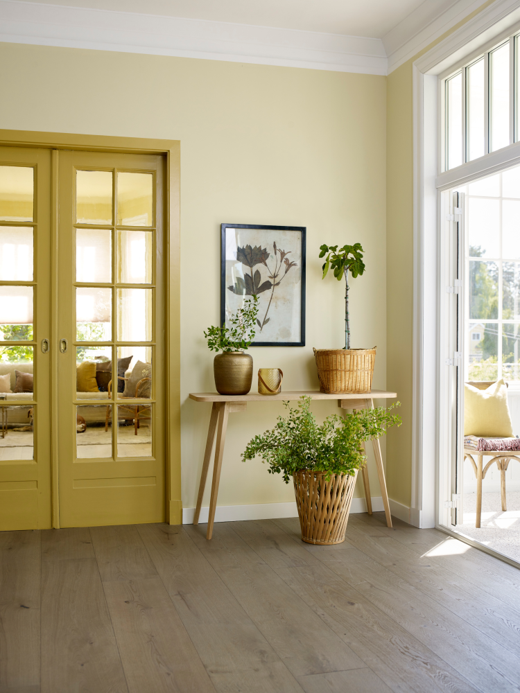 Rom med vegger i en rolig gulnyanse