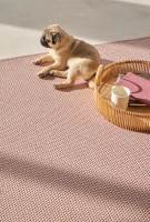 Foto: Intag<br/>GJENNVUNNET PET: Indoor/Outdoor  teppene fra Rols Carpet kan brukes både ute og inne. Teppene ser ut som sisal,  men er laget av myke, naturtro fibre fra gjenvunne PET-flasker og brukte  fiskenett.         