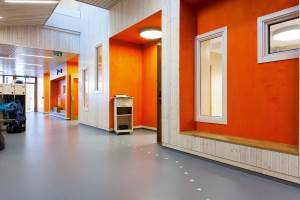 I Søreide skole i Bergen er veggene er kledd med panel, bjørkefinér og spiler<br />Foto: Kristian Owren/ifi.n