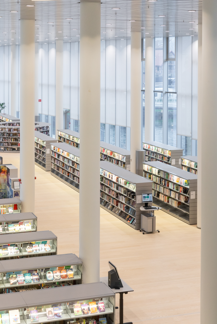 store vinduer i bibliotek