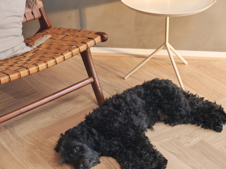 Herdet tregulv i friske farger